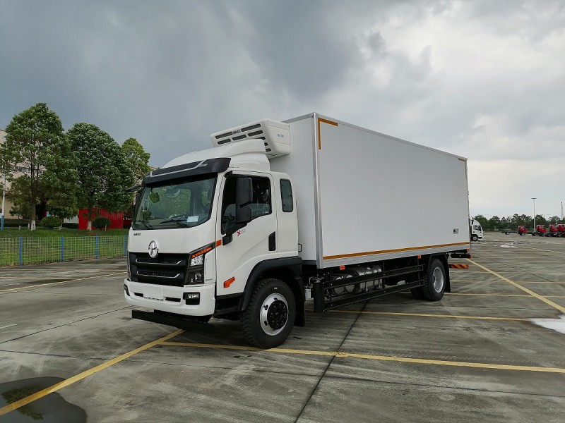 Автомобиль 4х2 специальный рефрижератор  на шасси DAYUN CGC1120D